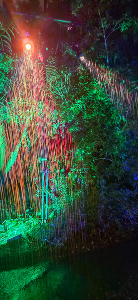San Diego Botanic Garden - Lightscape 2025